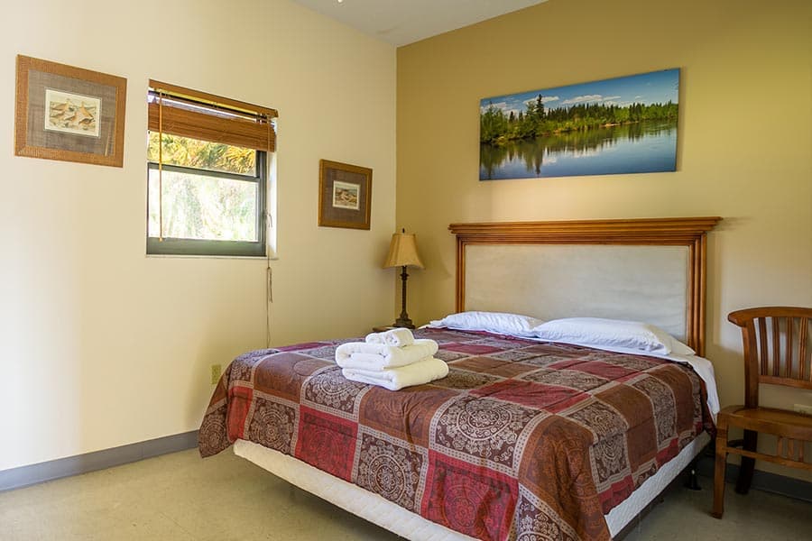 Pine Tree Inn